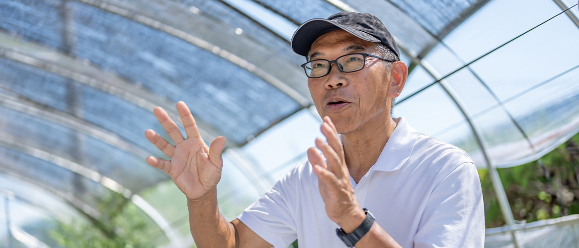 メインビジュアル