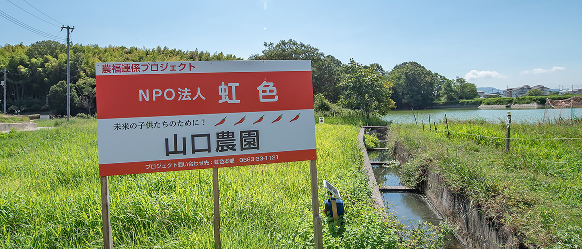 メインビジュアル