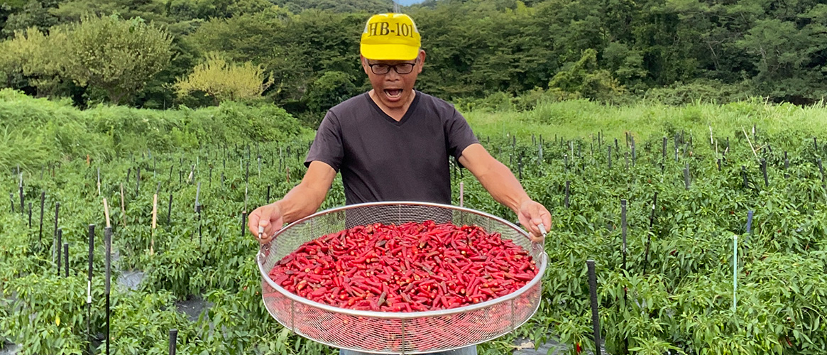 メインビジュアル